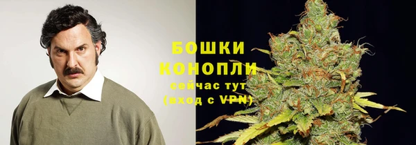 шишки Вуктыл