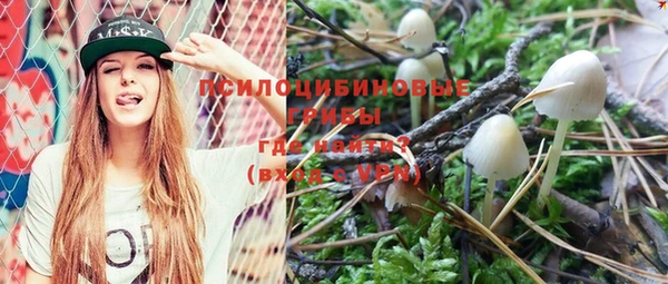 шишки Остров