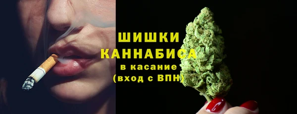 шишки Остров