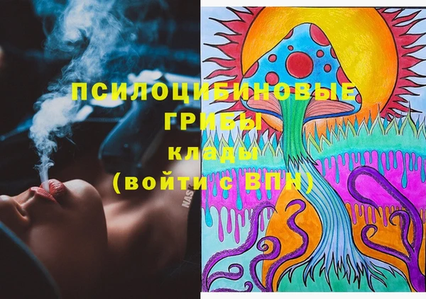 соль курить ск Осинники